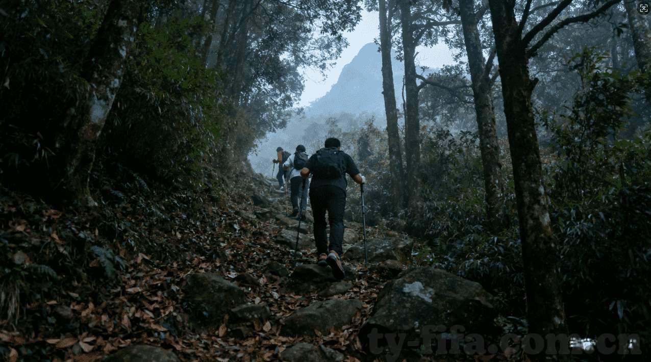 阳泉炸金花群-阳泉炸金花群，地方文化的独特展现与社交新平台